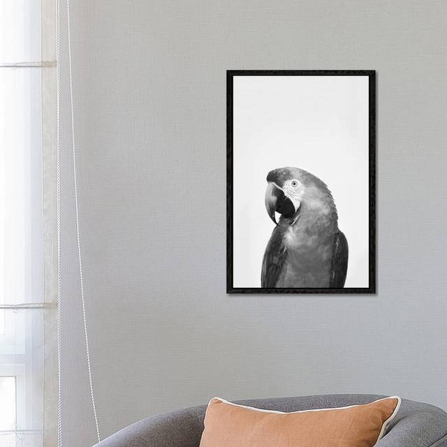 Parrot In Black & White by Sisi & Seb - Gallery-Wrapped Canvas Giclée - Black Framed (66.04cm H x 45.72cm W x 3.81cm D)