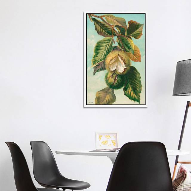 Tree Branch With Fruit II by Stellar Design Studio - Gallery-Wrapped Canvas Giclée - White Framed (101.6 cm H x 66.04 cm W)