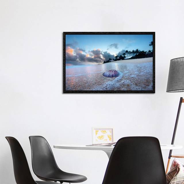 Shell Foam by Sean Davey - Gallery-Wrapped Canvas Giclée - Black Framed (66.04cm H x 101.6cm W x 3.81cm D)