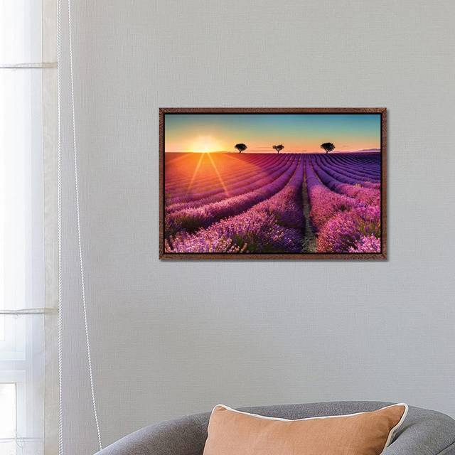 Plateau De Valensole Lavender Field Sunset II by Susanne Kremer - Gallery-Wrapped Canvas Giclée - Classic Wood Framed (45.72cm H x 66.04cm W x 3.81cm D)