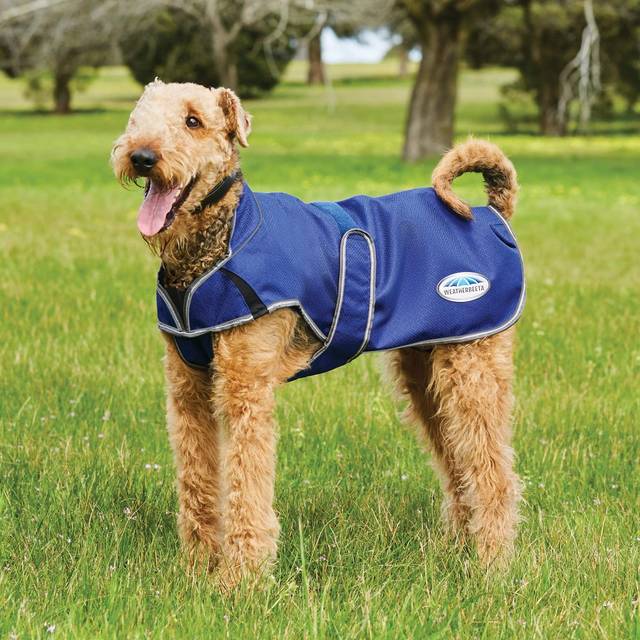 Weatherbeeta comfitec premier free parka deluxe dog coat medium