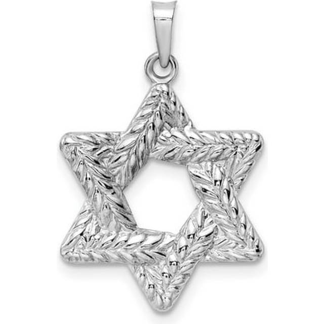 14K White Gold Polished & Textured Solid Star of David Pendant