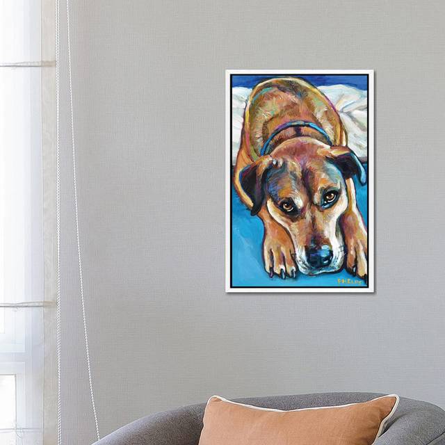 Sienna The Mastiff Mix by Robert Phelps - Gallery-Wrapped Canvas GiclÃ©e on Canvas - White Framed (66.04 cm H x 45.72 cm W)
