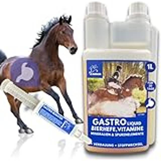 Emma öljäst häst 1 l 30 ml pasta Plus B-vitaminer biotin häst zink selen häst – tarmbakterier för tarmbehandling – glänsande päls hud matsmältning och tarmflora uppbyggnad – probiotikahäst –