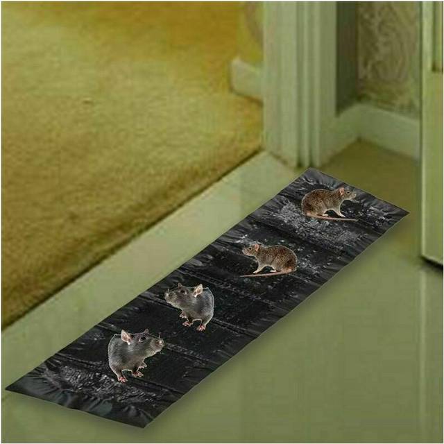 Mouse Mice Traps Rat Trap Bug Terminator Large Size Super Rat Snake Trap Bug
