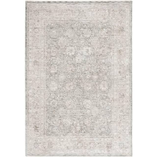 Safavieh MSN112B-4 4 x 6 ft. Mason 100 Power Loomed Rectangle Traditional Area Rug, Beige, Dark Grey & Ivory