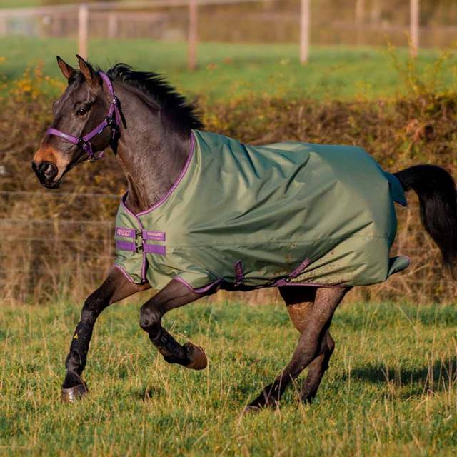 Horseware Amigo Hero 600D Ripstop Lite 0 gTurnout filt vattentät brun/vinterbär & taupe, storlek: 7'0