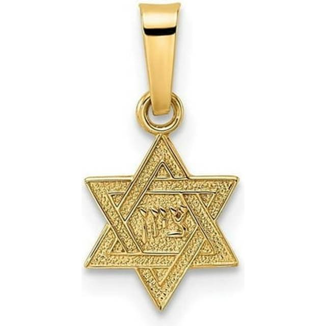 14K Yellow Gold Polished Textured Solid Star of David Pendant