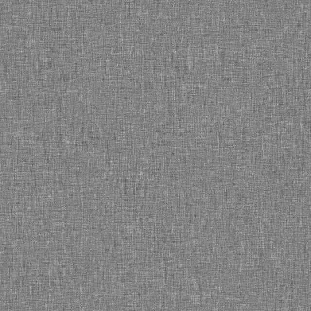 Canvas Graphite - 6119