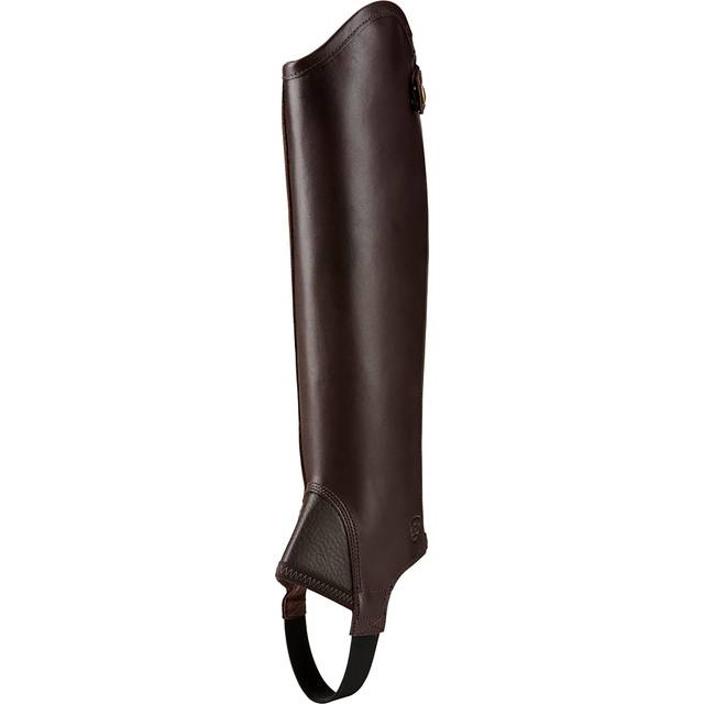Shortchaps Concord ARIAT® Mörkbrun