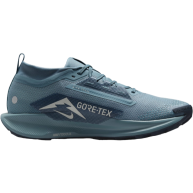 Nike Pegasus Trail 5 GTX Herr