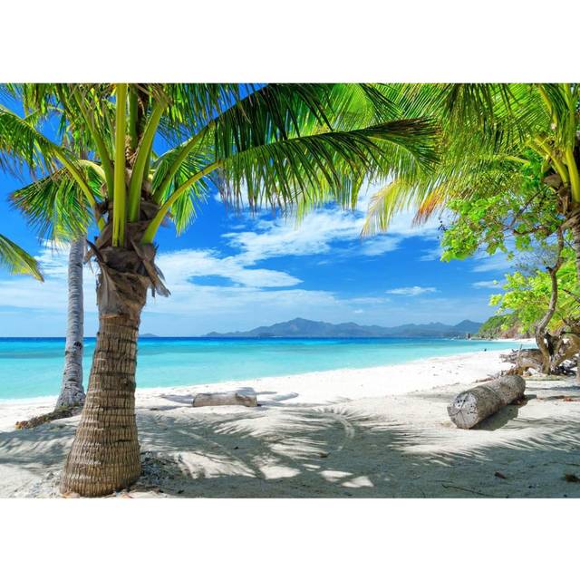 7x5ft Tropical Summer Beach Photography Backdrops Hawaiian Luau Party Blue Sky Sea Background for Outdoor Photo