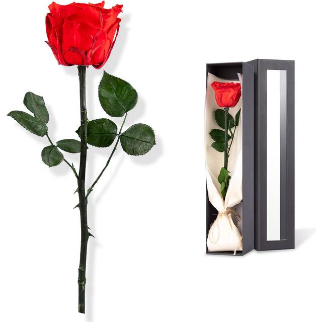 Mothers Day Rose Flower Gifts for Mom from Daughter and Son  Mom Gifts for Grandma  Unique Birthday Gifts for Women  Preserved R