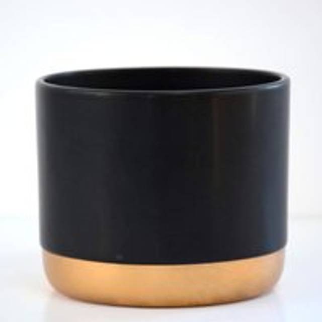 Thompson & Morgan Thompson and Morgan Two-tone ceramic Black-Gold 6cm Small, Black