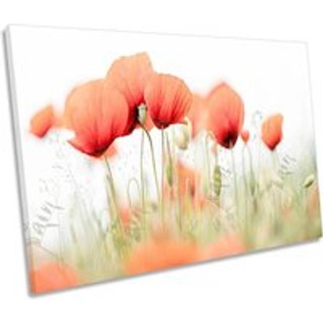 Red Poppy Flowers Summer Day Canvas Wall Art Picture Print - W24 inch x H16 inch x D20mm