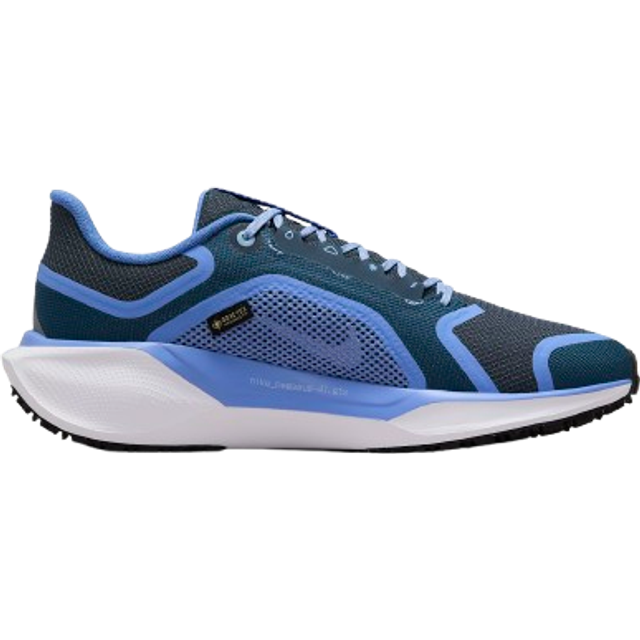 Nike Pegasus 41 GTX Dam