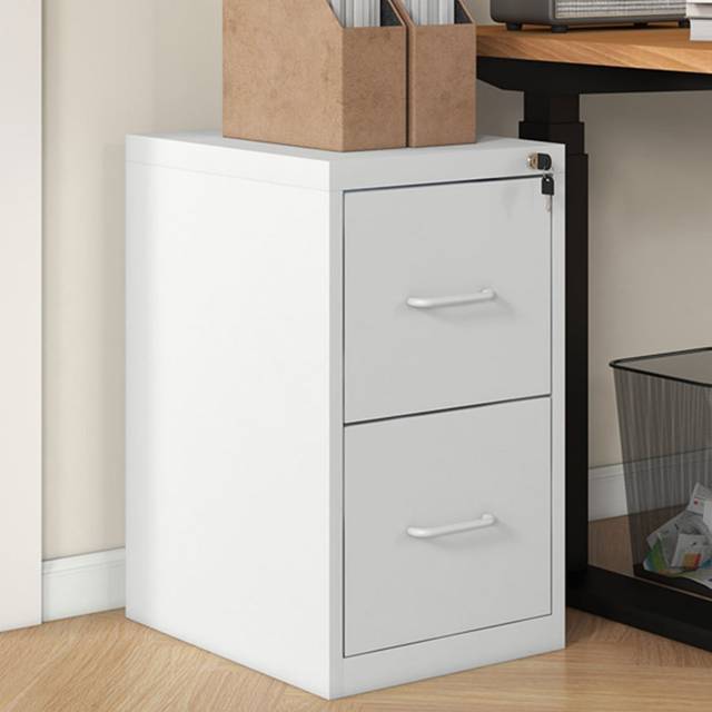 2 Drawer Filing Cabinet with Adjustable Hanging Bar for A4 and Letter Size White - HOMCOM | TJ Hughes