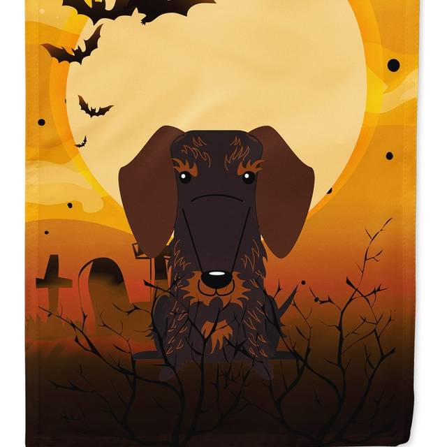 Caroline's Treasures BB4395GF Halloween Wire Haired Dachshund Chocolate Garden Size Flag  Small  Multicolor