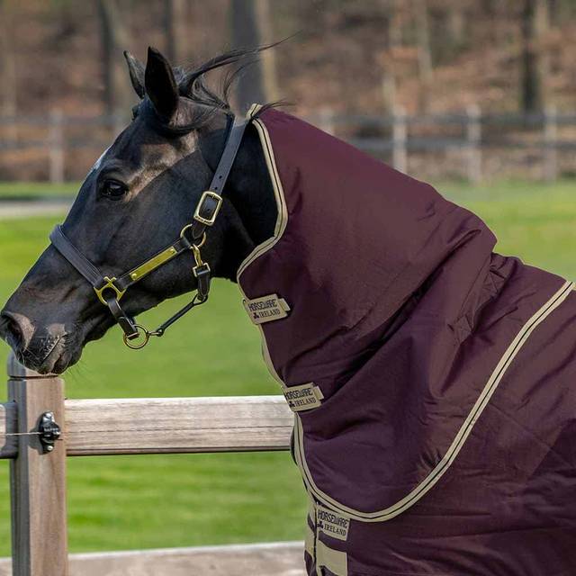 Halstäcke Amigo Hero Ripstop Lite Horseware® Vinröd