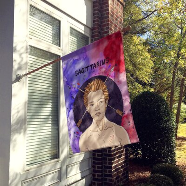 Caroline's Treasures BB7325CHF Sagittarius Zodiac Sign Decorative House Flag  Size  Multicolor