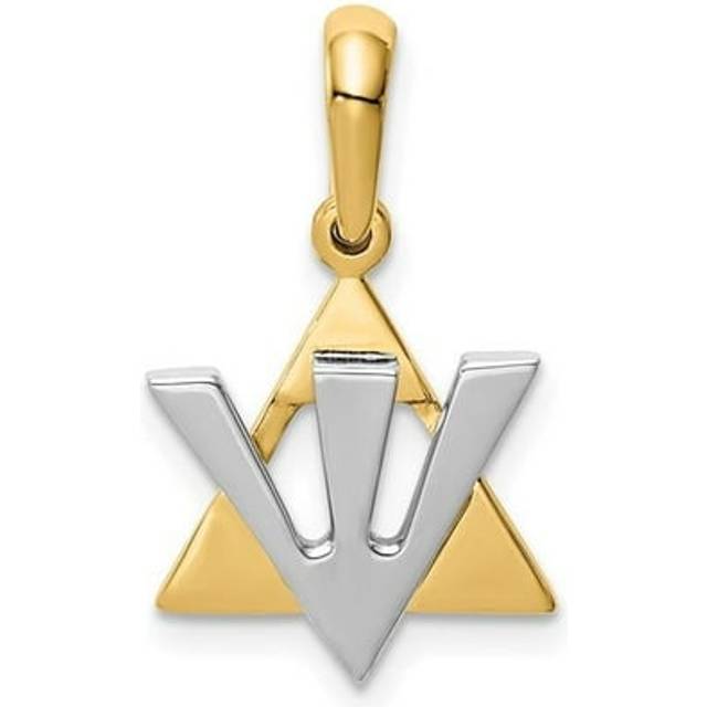 14K Star of David with Shin Charm