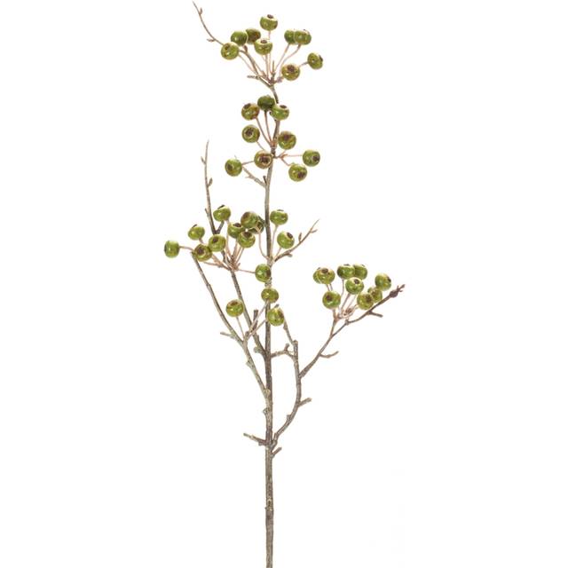 Winter Berry Pod Spray (Set of 12)