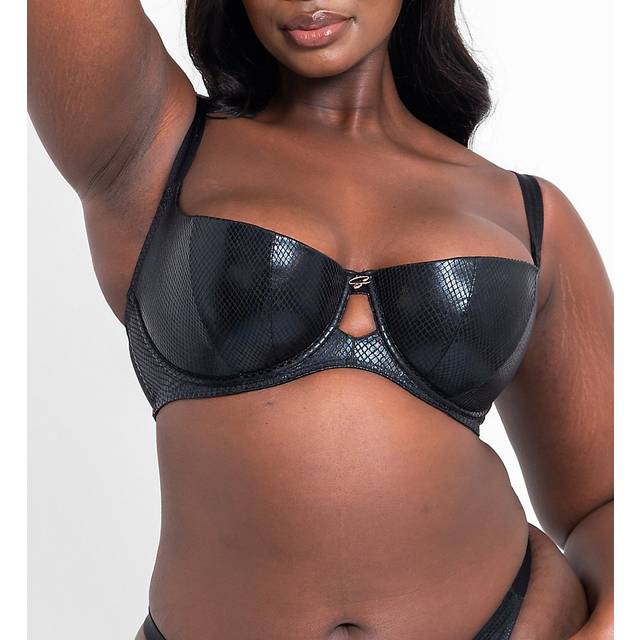 Scantilly Serpent Padded Half Cup Bra Black