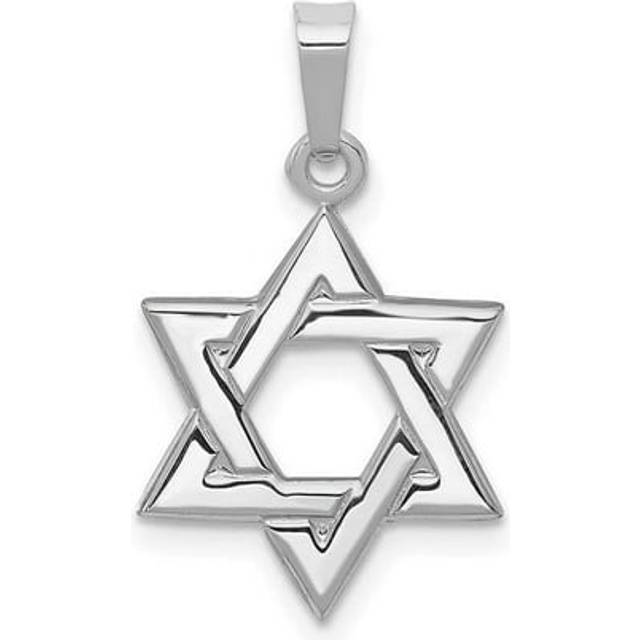 14K White Gold Polished Star of David Pendant