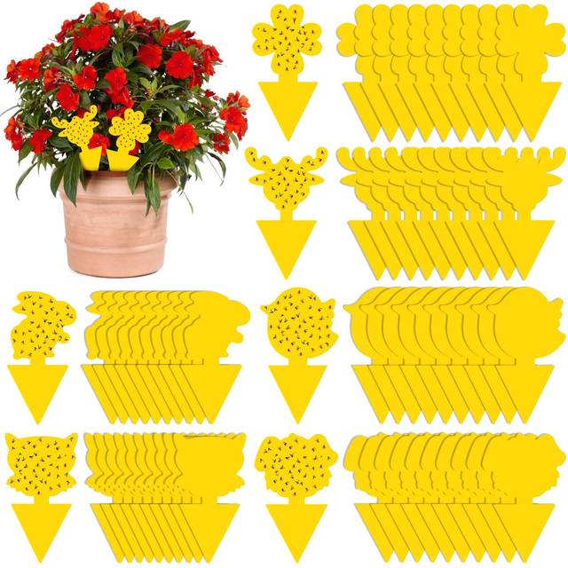 Fruit Fly Traps, PCS Sticky Fly Traps, Newthinking 60 Yellow Non-Toxic