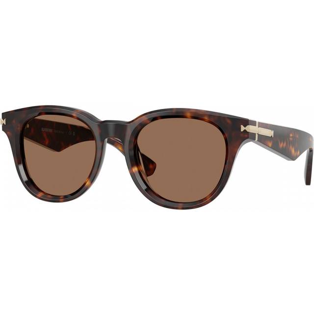 Burberry Man BE4439  300273 Sunglasses Acetate Brown Brown Round Normal