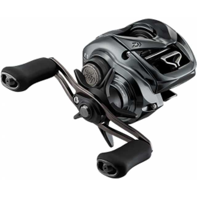 Daiwa 24 Tatula SV TW Multirulle 100H -