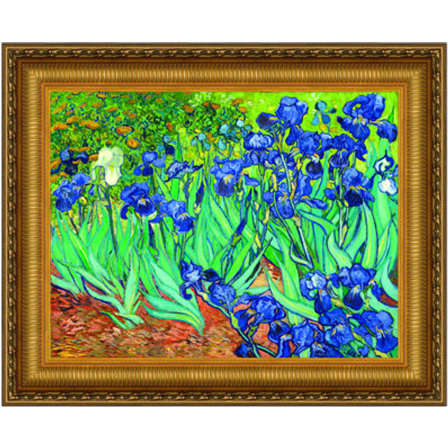 Irises Framed Canvas Replica Painting: Grande