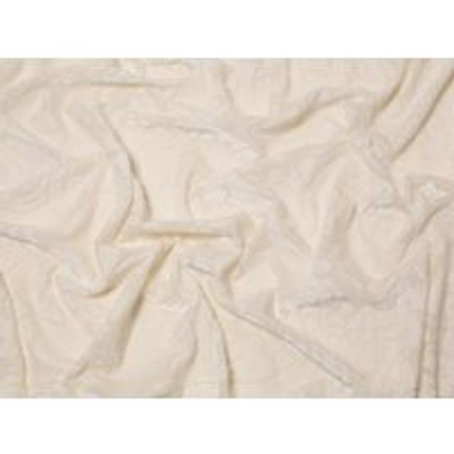 Minerva Core Range Puccini Burn Out Velvet Stretch Knit Fabric Ivory