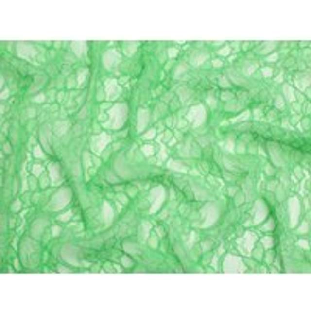 Chantilly Corded Lace Fabric Mint Green
