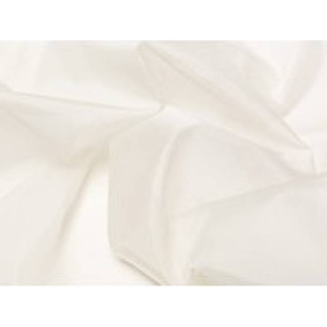 Minerva Core Range Society Silk Organza Fabric Ivory