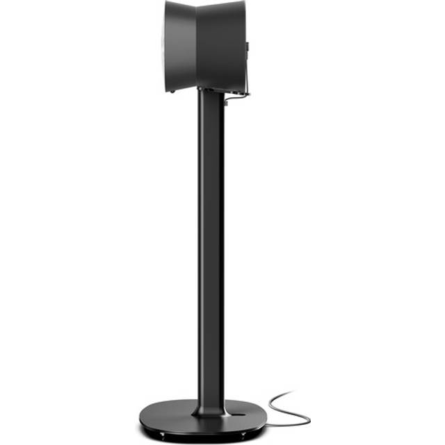 Flexson Golvstativ för Sonos Era 300 Svart 1st
