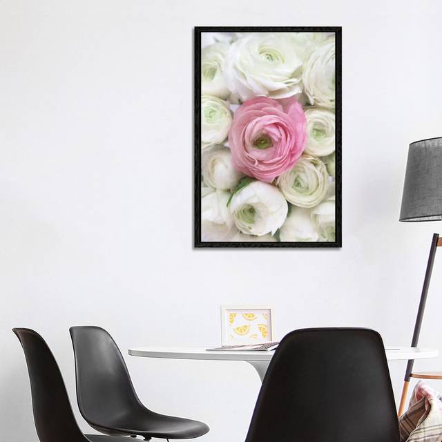 Vintage Ranunculus In White And Pink by Blursbyai - Gallery-Wrapped Canvas Giclée on Canvas - Black Framed (101.6 cm H x 66.04 cm W)