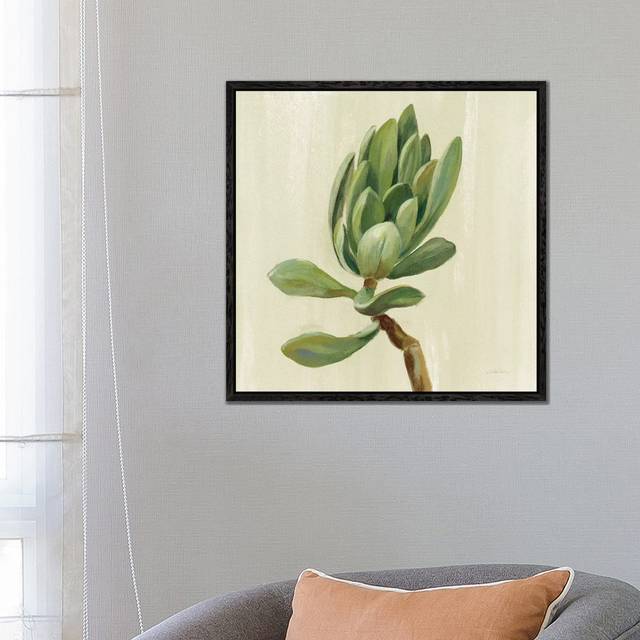 Front Yard Succulent III by Silvia Vassileva - Gallery-Wrapped Canvas Giclée on Canvas - Black Framed (66.04cm H x 66.04cm W x 3.81cm D)