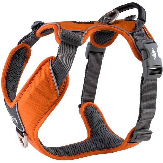 Comfort Walk Pro Harness Ny 2020 - Orange Sun - orange