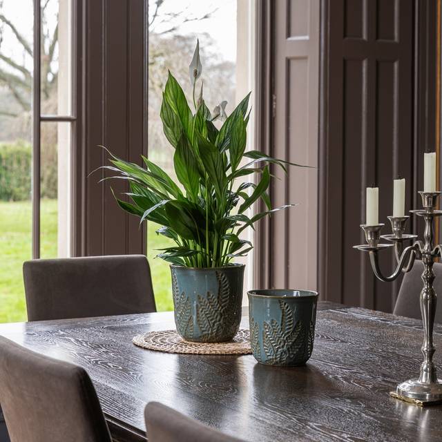 Kew Embossed Fern Plant Pot - Teal