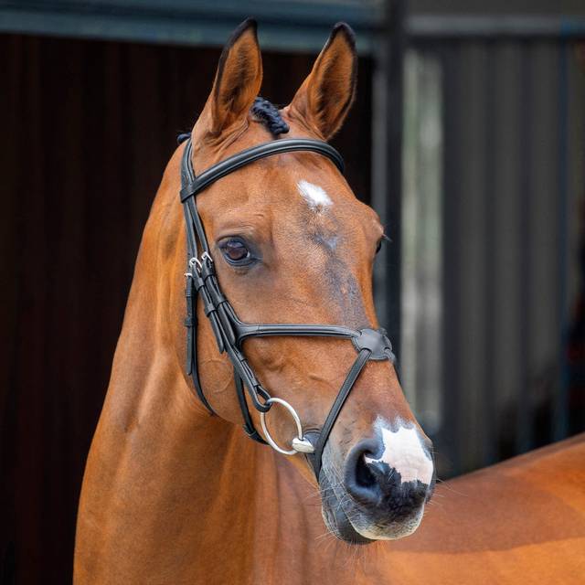 Lusso Grackle Bridle - Black