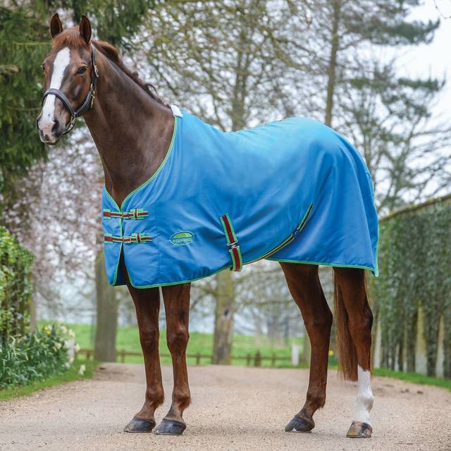 Weatherbeeta Cotton Sheet Blue - 5'9 · Blue and Bright Green