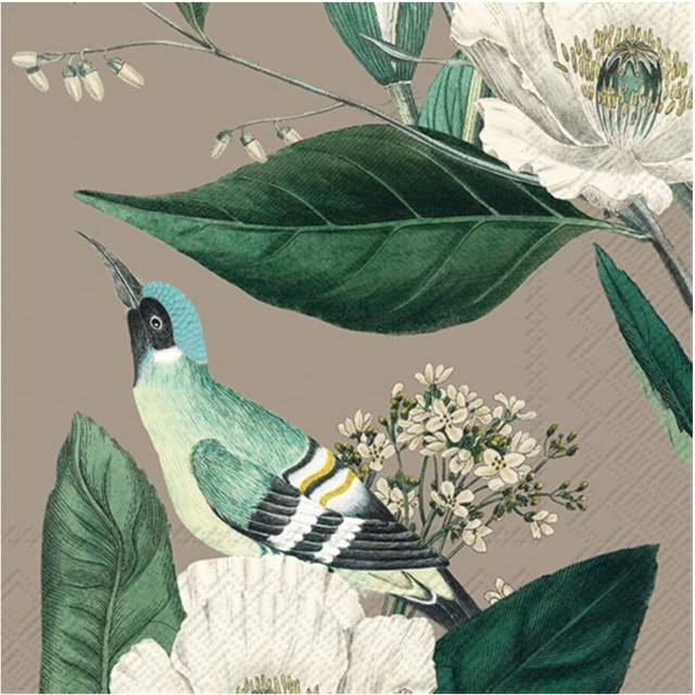 IHR Flower Bird Linen Print Lunch Paper Napkins 20-Pack Disposable 3-Ply