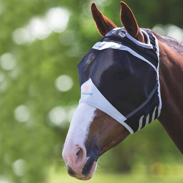 Shires Flughuva utan öron - Teal / Gray (Ponny)