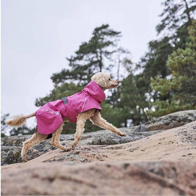 Monsoon Coat Ruby ECO II - Regnjacka till Hund - 60 / Ruby
