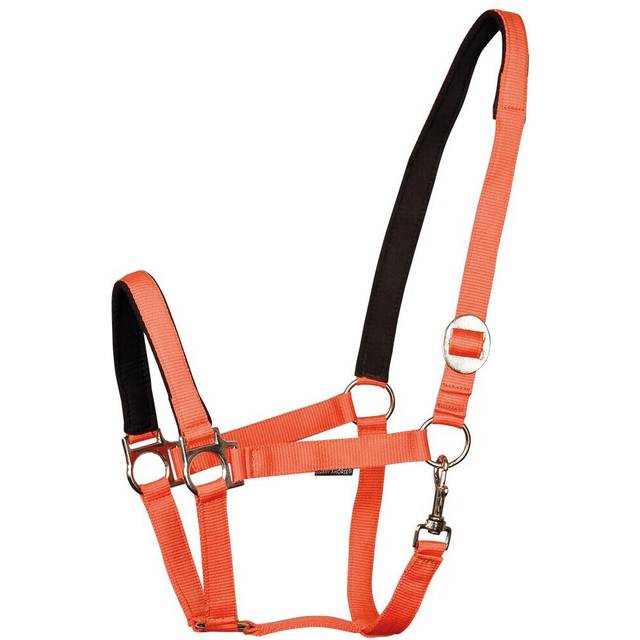 Padded horse halter Harry's Horse - Orange