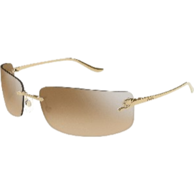 Cartier, Accessoarer, unisex, ONE Size, Ct0503S 004 Solglasögon - yellow (ONE SIZE)