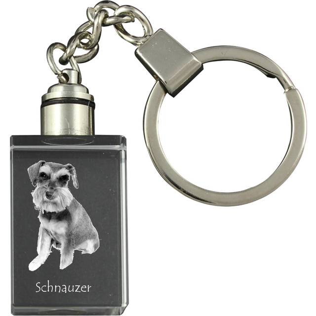 Schnauzer - Crystal key ring with dog photo, illuminated key ring, unique gift by Art-Dog brand transparent