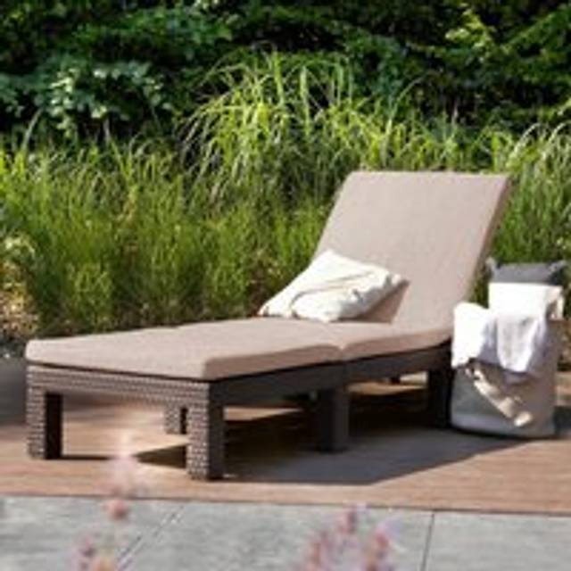 Keter Sunlounger with Cushion Daytona Brown - One Size