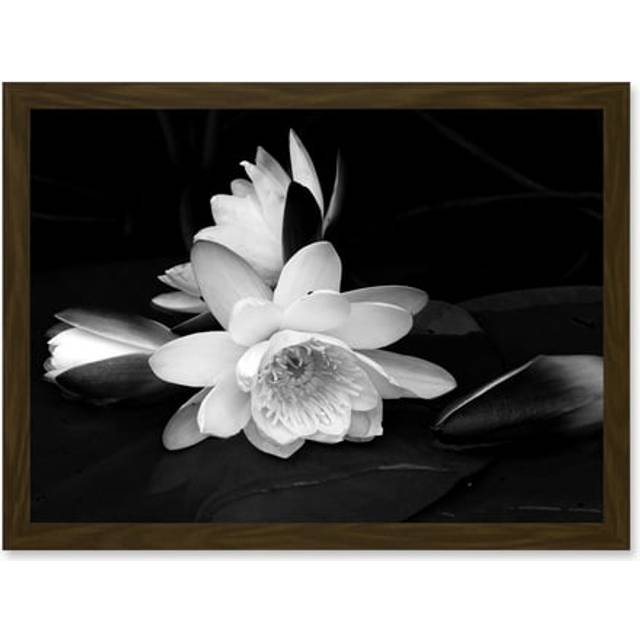 White Lilly Flower Bloom A4 Artwork Framed Wall Art Print - Brown - One Size